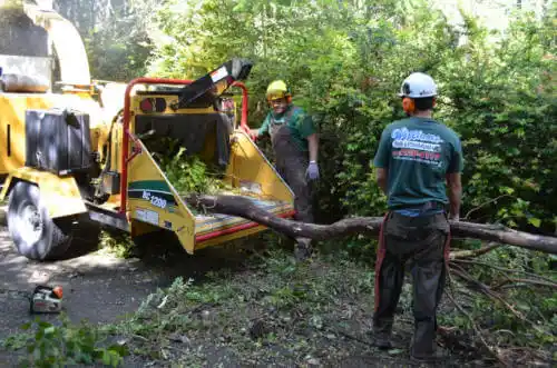 tree services Molena